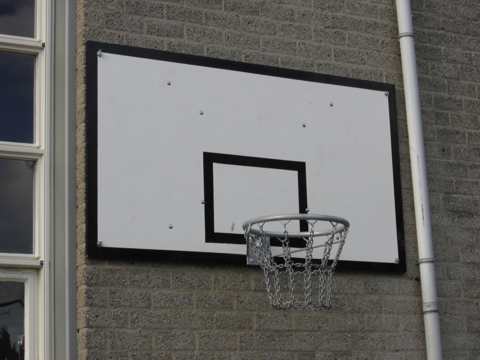 Enten Ontstaan Centraliseren Baskets - op paal of aan de muur of gecombineerd met voetbalgoal