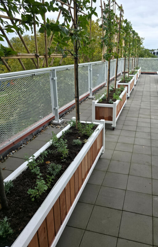 Verrijdbare bloembakken op dakterras